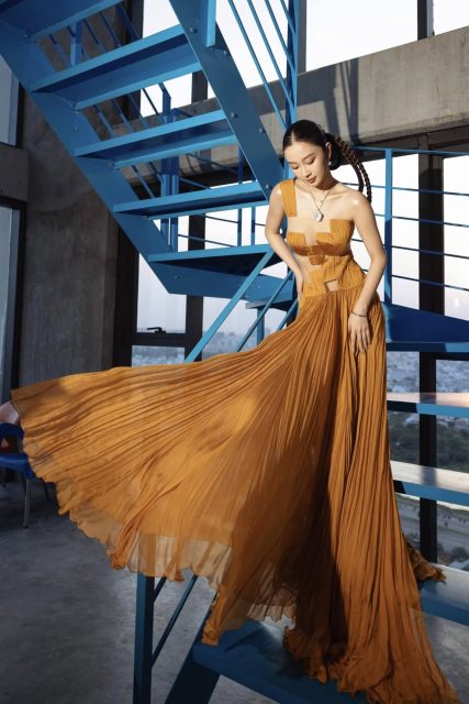 Vũ Phương Anh - Hai vây xinh xinh Cá vàng bơi trong bể nước