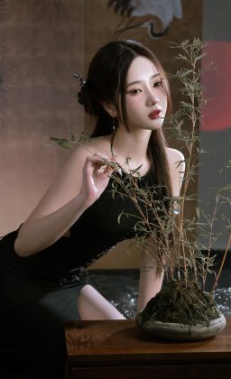 Nguyễn Diệu Linh - Chúc mừng năm mới