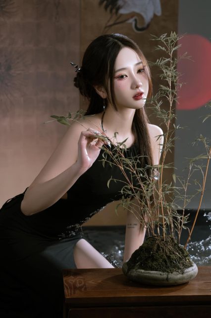 Nguyễn Diệu Linh - Chúc mừng năm mới