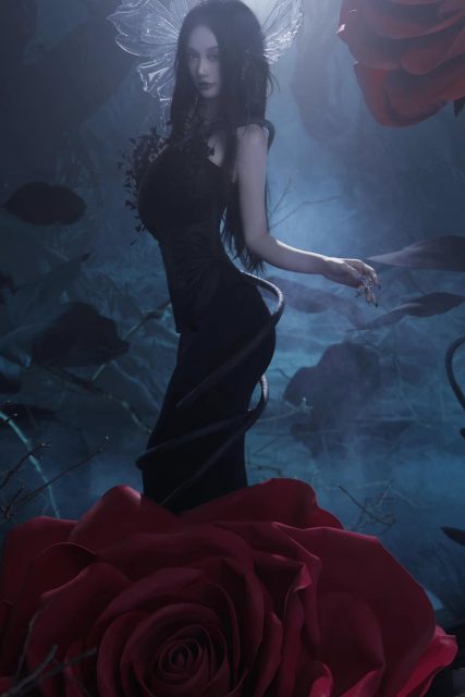 Vũ Phương Anh