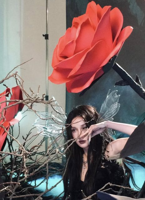 Vũ Phương Anh - Ai z tr