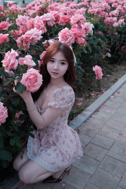 Ly Ly Trần - Trong muôn vàn bông hoa Thì em vẫn là bông hoa bự nhất:))