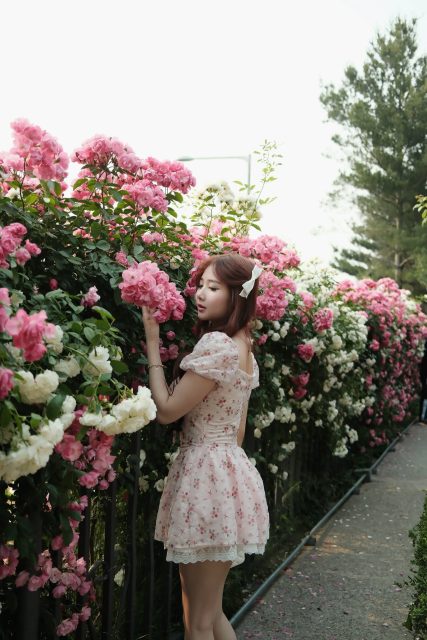 Ly Ly Trần - Trong muôn vàn bông hoa Thì em vẫn là bông hoa bự nhất:))