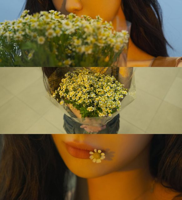 Vũ Phương Anh