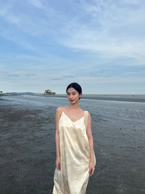 Vũ Phương Anh - Có lúc dịu dàng Có lúc không.