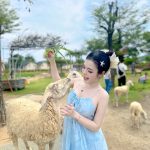 Phạm Thùy Trang - Em bé chăn cừu