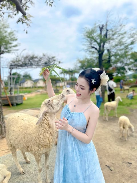 Phạm Thùy Trang - Em bé chăn cừu