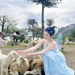 Phạm Thùy Trang - Em bé chăn cừu