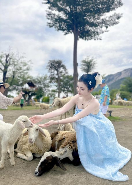 Phạm Thùy Trang - Em bé chăn cừu