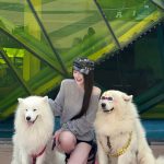 Nịnh Thảo - Trung thu là tết thiếu nhi, còn em cũng thiếu, mà là thiếu Tiền…..