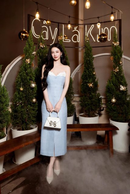 Vũ Phương Anh - Dinner party Cây Lá Kim Phạm Anh Khoa