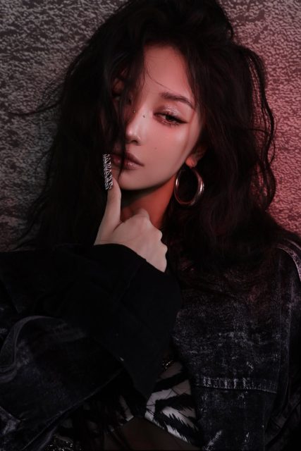 Vũ Phương Anh - 1 bé ngựa vằn cho năm Bính Ngọ