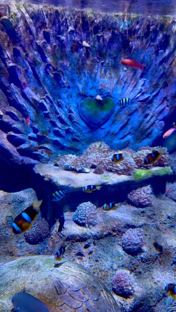 Mẫn Mẫn - deep sea