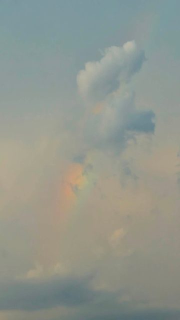Vũ Phương Anh