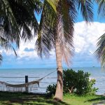 Thúy Hiền - Chọn những điều mình yêu Yêu những điều mình chọn