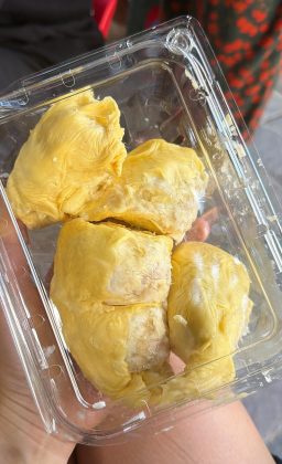 Bích Hoa Nguyễn - Đang giảm cân rồi, được chưa .. #sầuriêng #yummy
